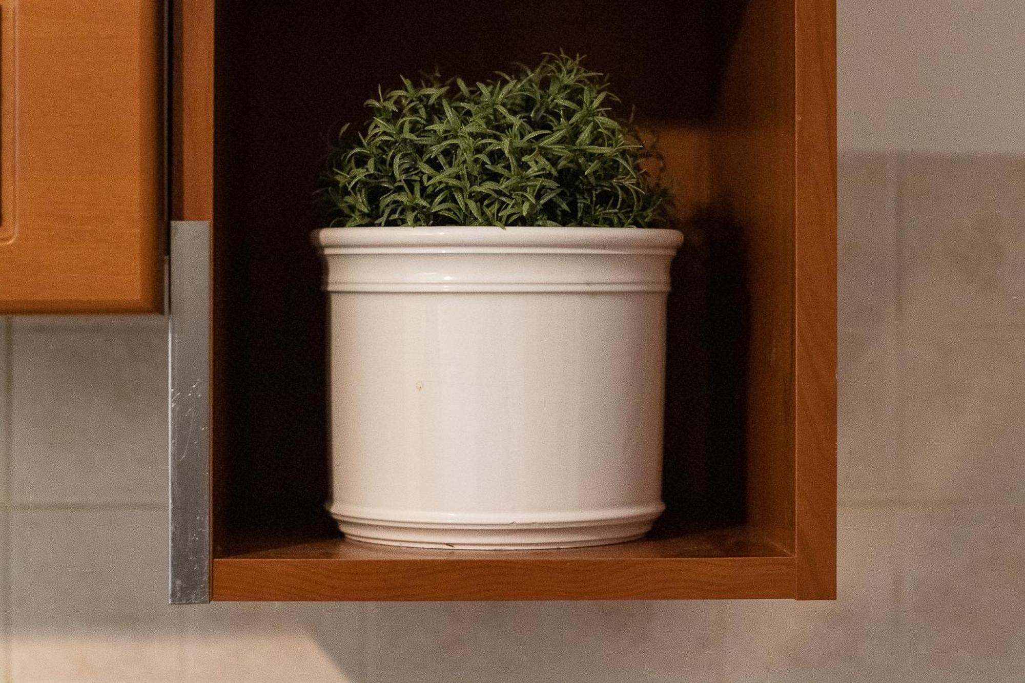 Appartamento Casa Emilia Volterra Esterno foto