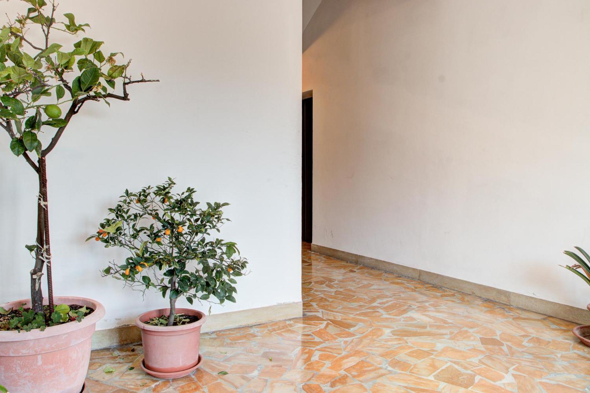 Appartamento Casa Emilia Volterra Esterno foto